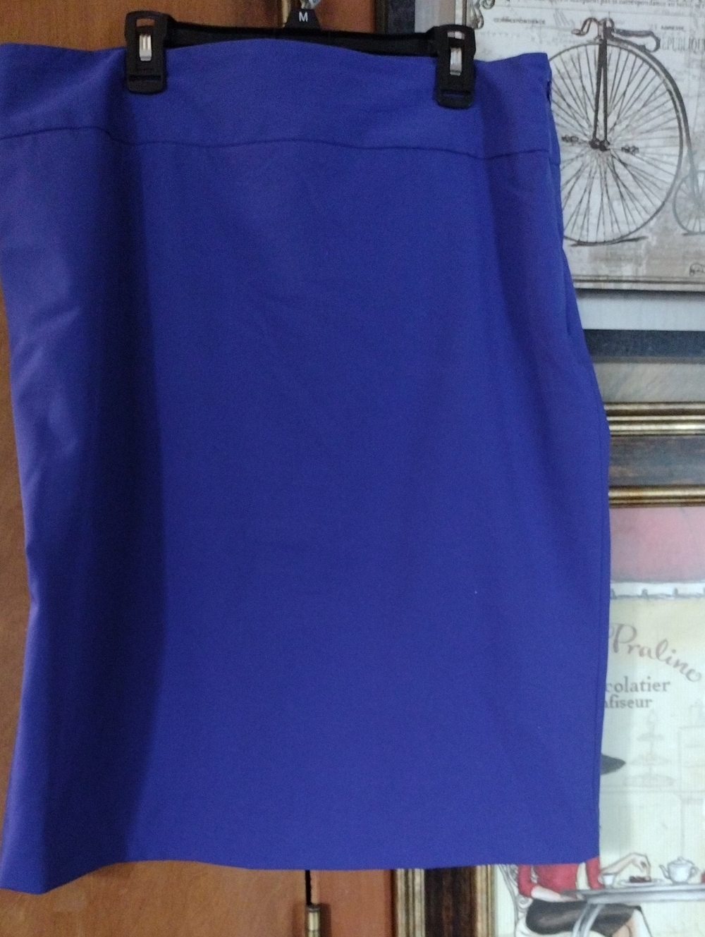 Liz Claiborne Cobalt Blue Pencil Skirt